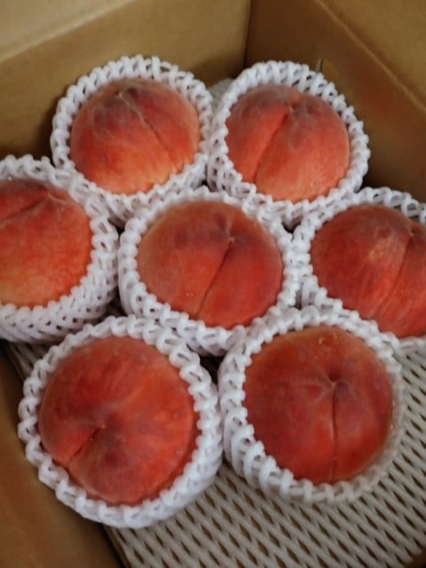 福島のおいしい桃