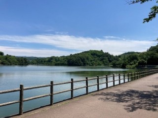 穏やかな風、空気　青空　盛岡　高松の池