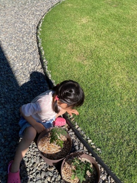 芝生の端に砂利を一個一個並べる長女